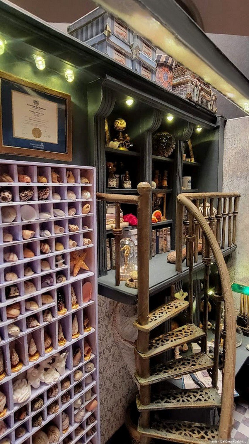 Уголок ученого от Мари-Мадлен Риверен (фото 8)