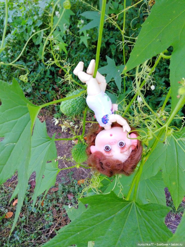 Про Нафочку. До свидания, Лето