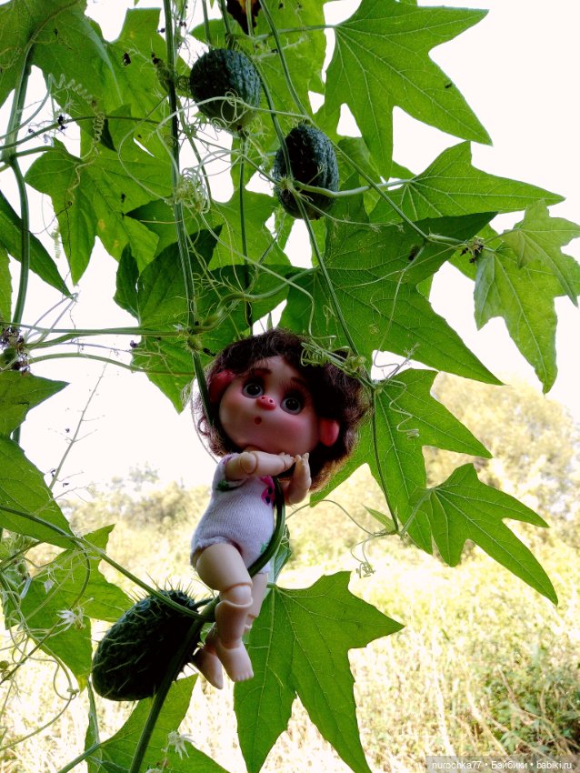 Про Нафочку. До свидания, Лето