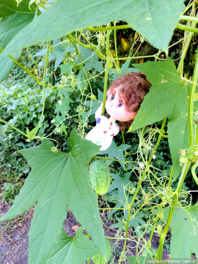 Про Нафочку. До свидания, Лето