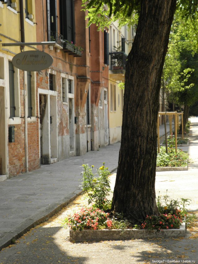 "Август машет кисточкой с сухой позолотой ..." (фото 4)