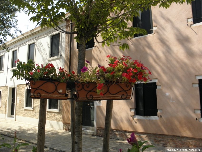 "Август машет кисточкой с сухой позолотой ..." (фото 10)