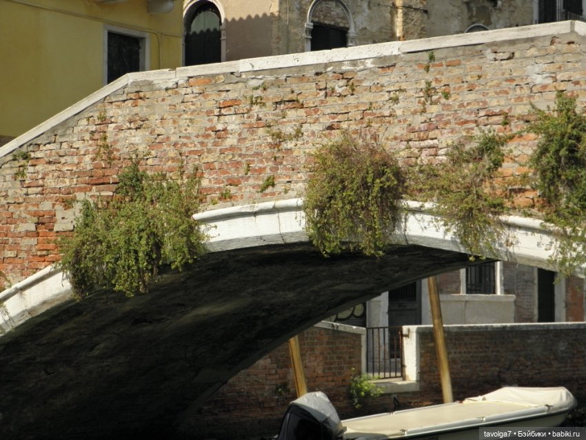 "Август машет кисточкой с сухой позолотой ..."