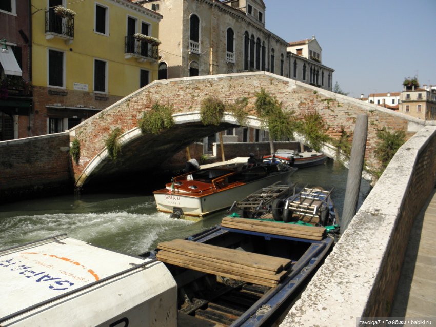 "Август машет кисточкой с сухой позолотой ..."