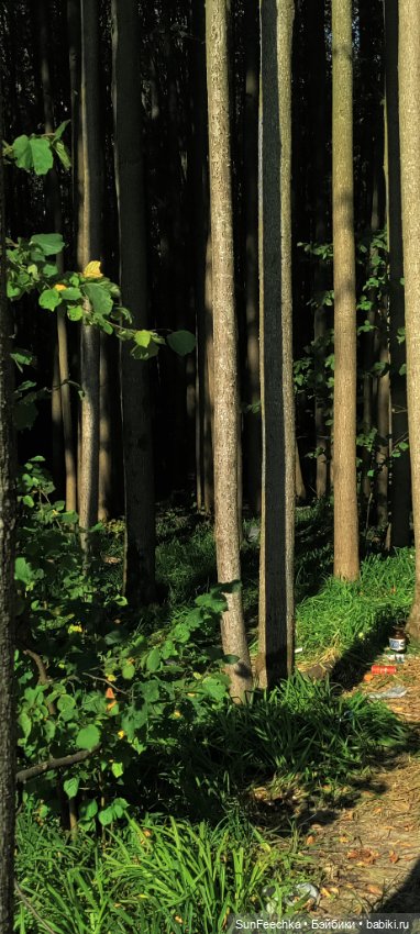 Цвет настроения зелёный! 💚 Green Fuggler (фото 8)