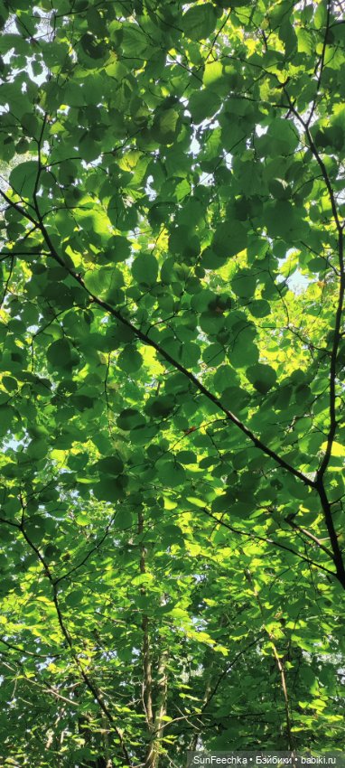 Цвет настроения зелёный! 💚 Green Fuggler (фото 5)