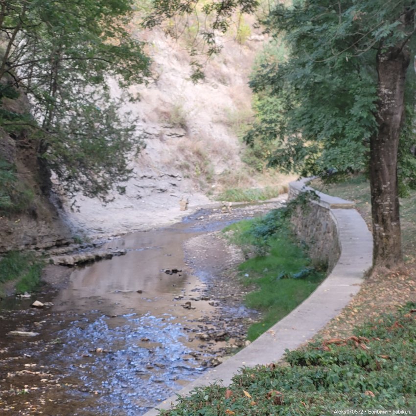 День рождения Чебурашки. Кисловодск