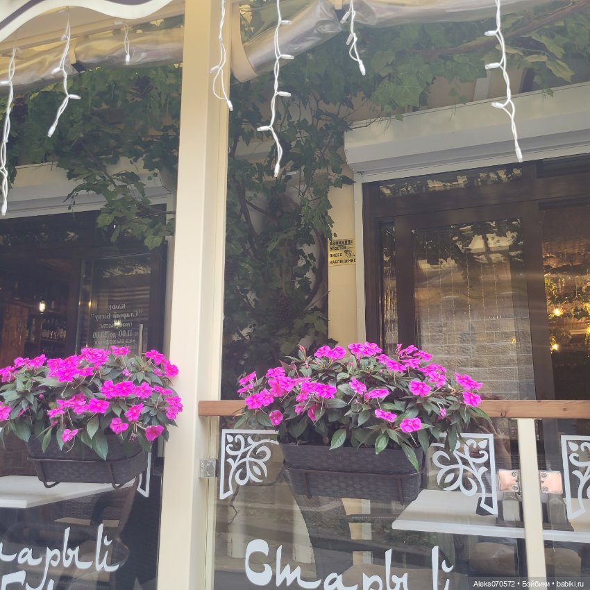 День рождения Чебурашки. Кисловодск