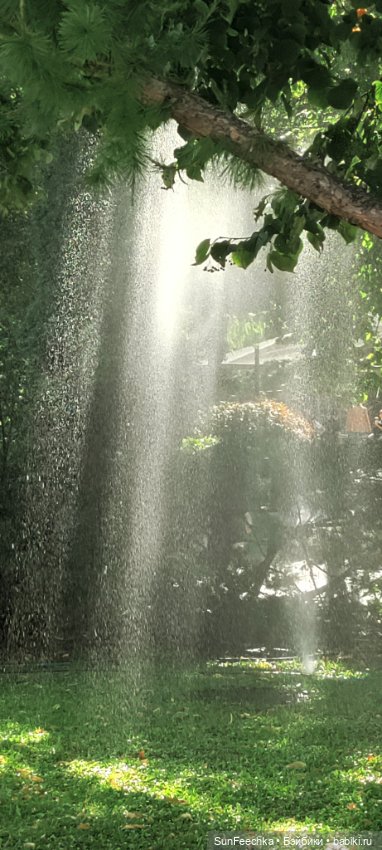 Цвет настроения зелёный! 💚 Green Fuggler