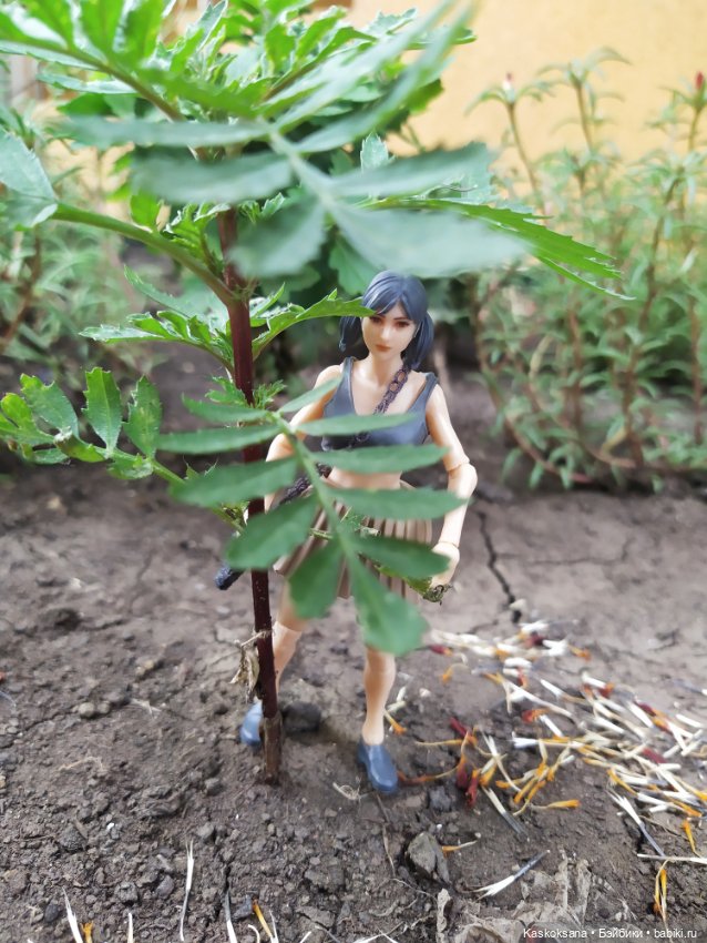 Подружка на ладошке — Коллекционные экшн