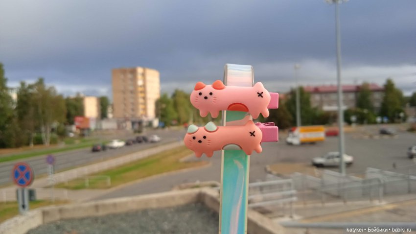 День благодарности рыжим котам 2024 (фото 6)