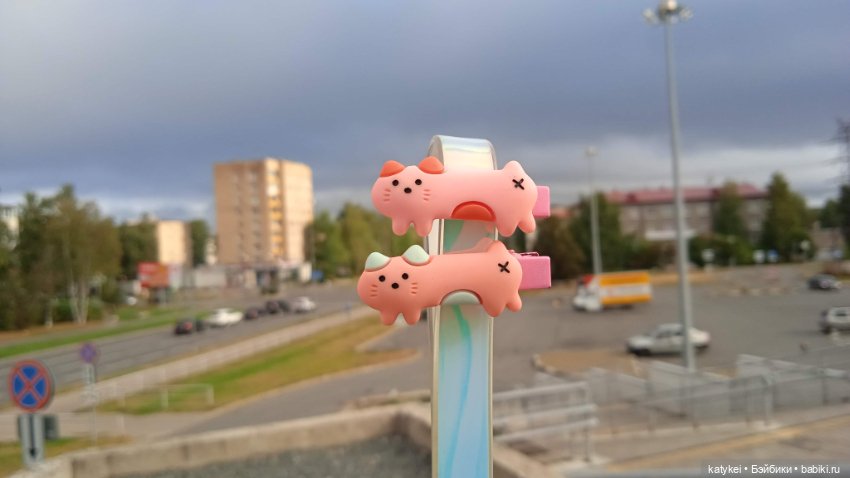 День благодарности рыжим котам 2024 (фото 5)