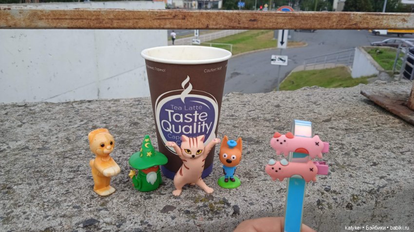 День благодарности рыжим котам 2024 (фото 3)