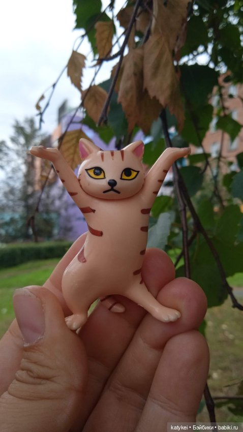 День благодарности рыжим котам 2024