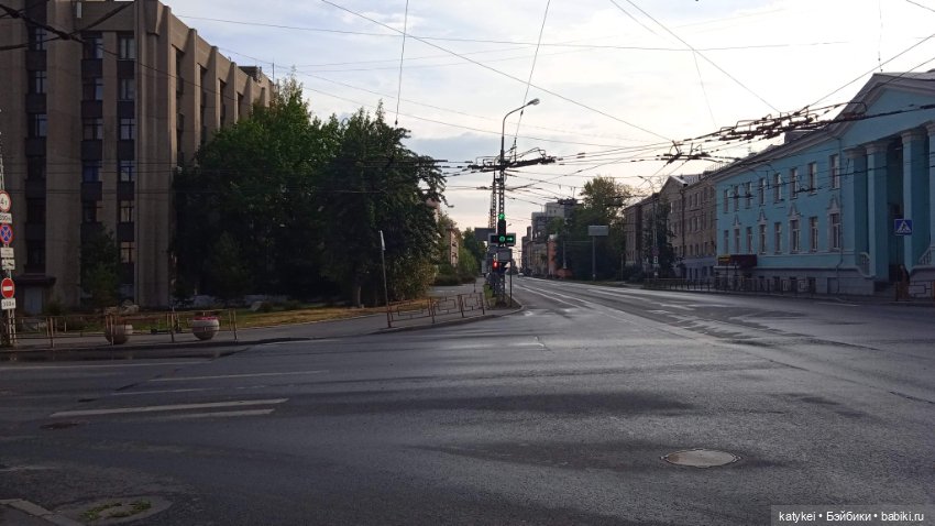 День благодарности рыжим котам 2024