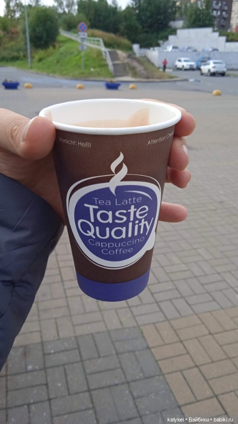 День благодарности рыжим котам 2024 (фото 7)