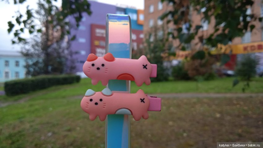 День благодарности рыжим котам 2024 (фото 9)