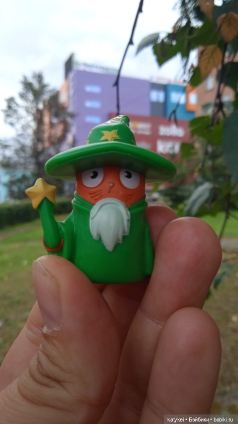 День благодарности рыжим котам 2024 (фото 10)