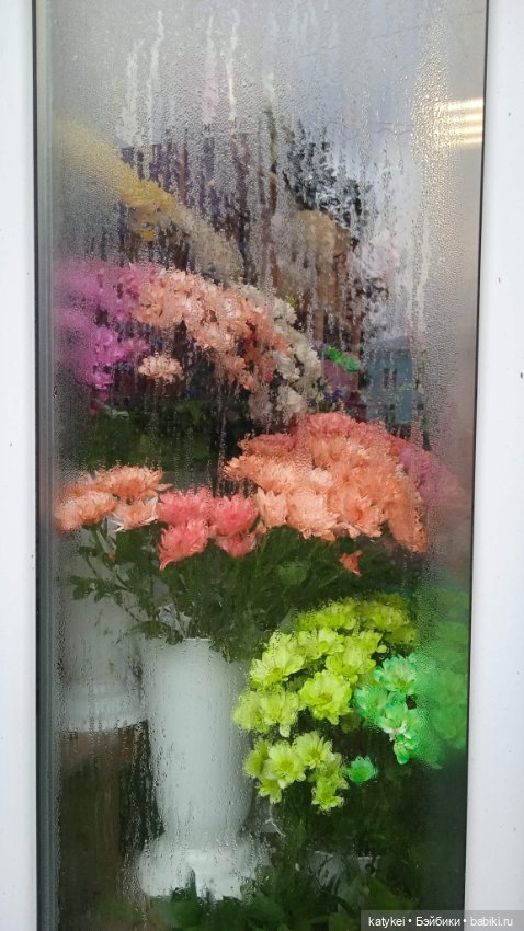 День благодарности рыжим котам 2024