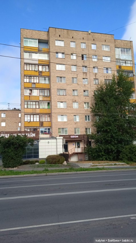 День благодарности рыжим котам 2024