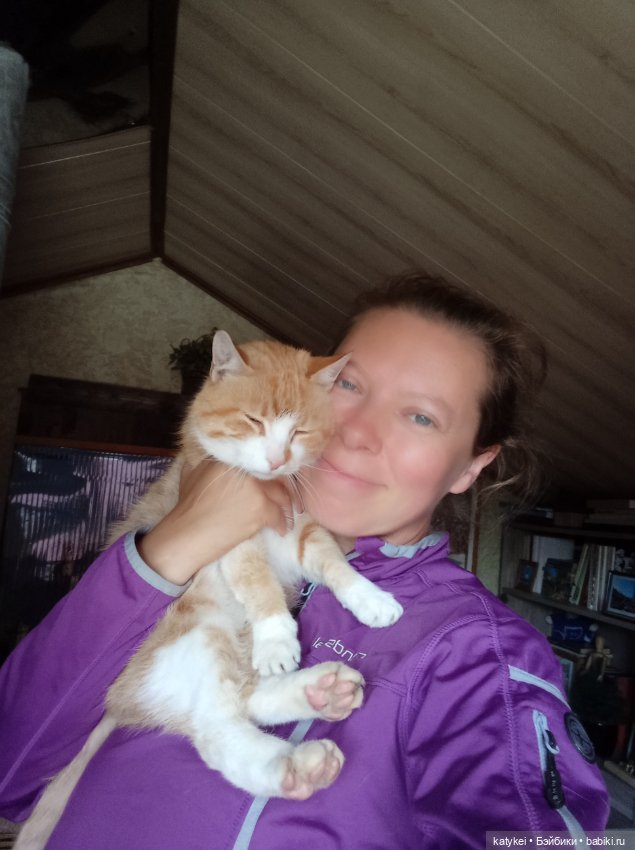 День благодарности рыжим котам 2024