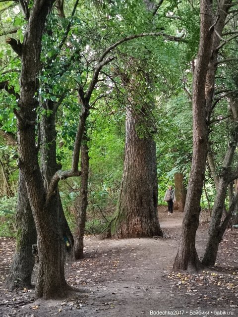 С Днем знаний — Куклы