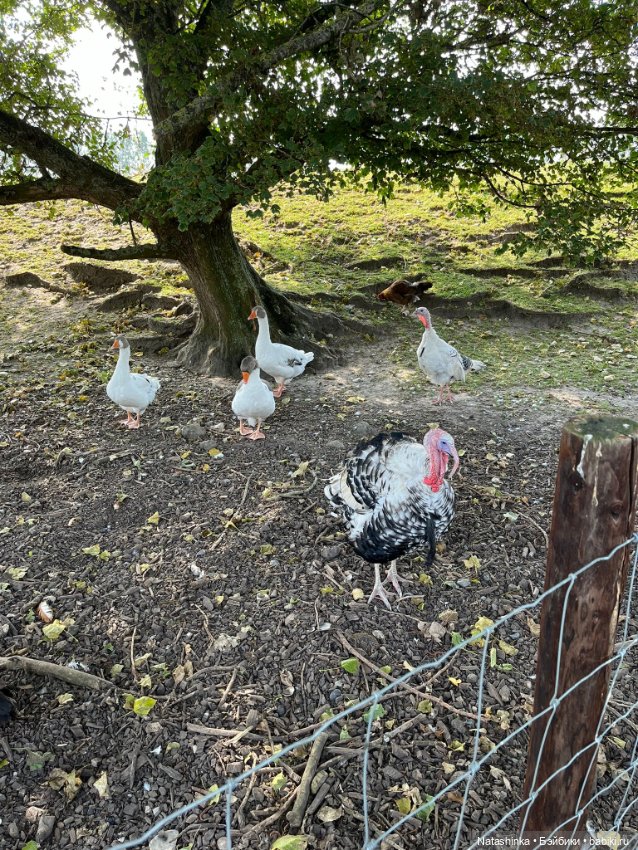 Музыкальная История 143 — Туризм и путешествия: фотоотчеты из поездок