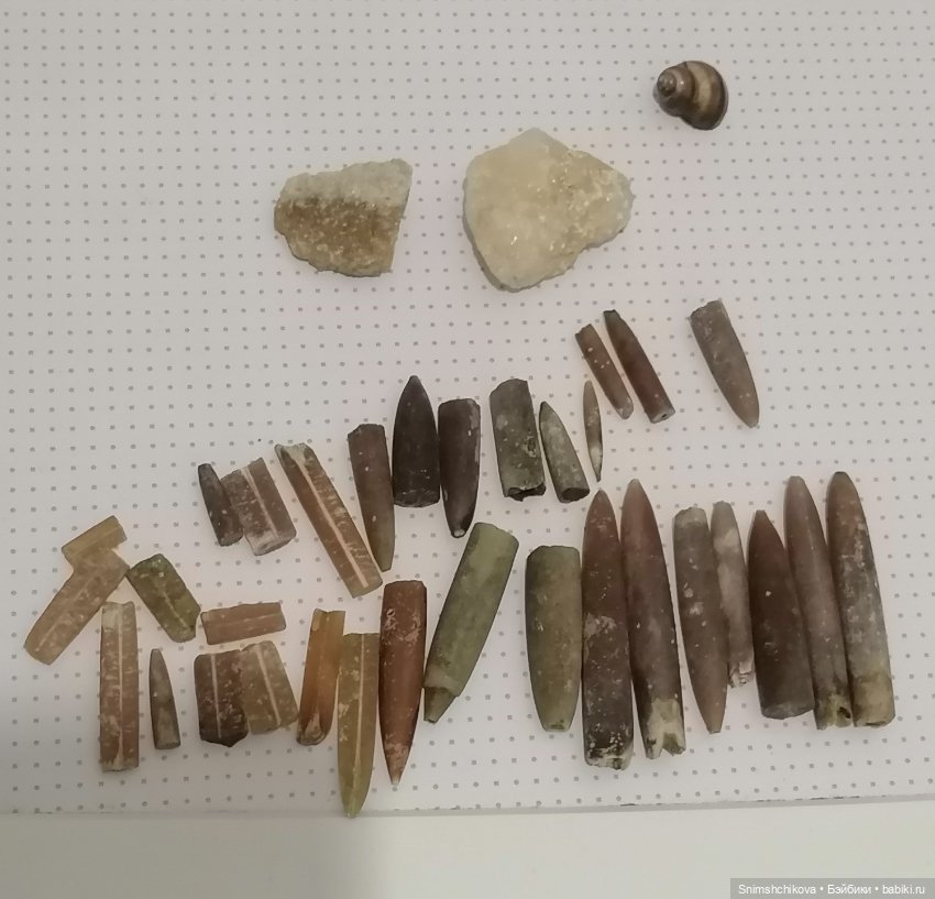 На поиски белемнитов — Разные шарнирные куклы (не БЖД): редкие