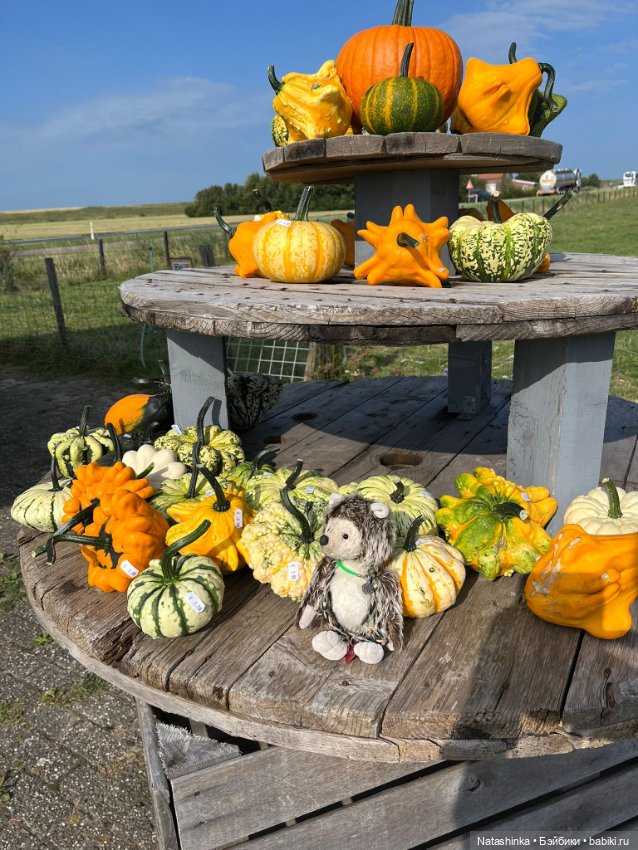 Музыкальная История 143 — Туризм и путешествия: фотоотчеты из поездок (фото 2)