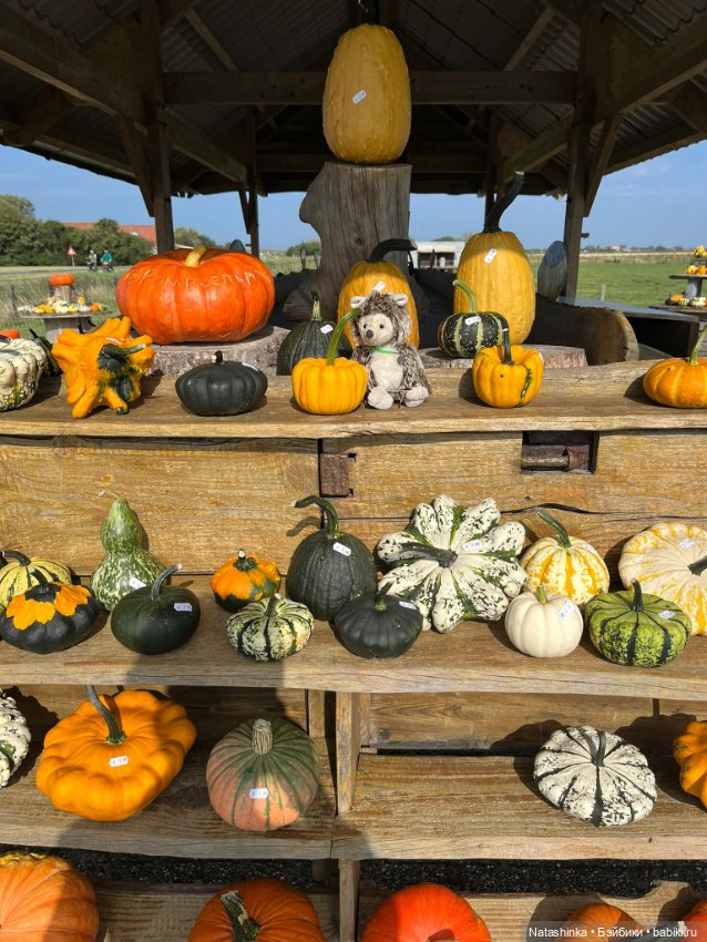 Музыкальная История 143 — Туризм и путешествия: фотоотчеты из поездок