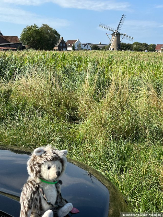 Музыкальная История 143 — Туризм и путешествия: фотоотчеты из поездок (фото 5)