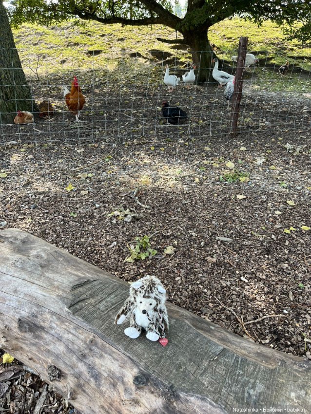 Музыкальная История 143 — Туризм и путешествия: фотоотчеты из поездок