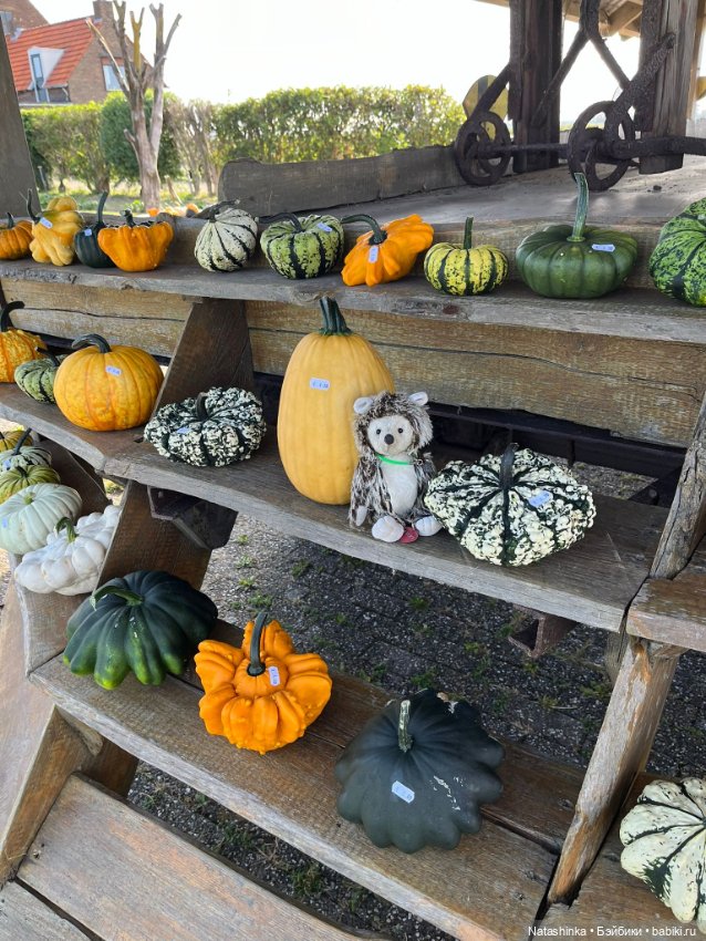 Музыкальная История 143 — Туризм и путешествия: фотоотчеты из поездок (фото 3)