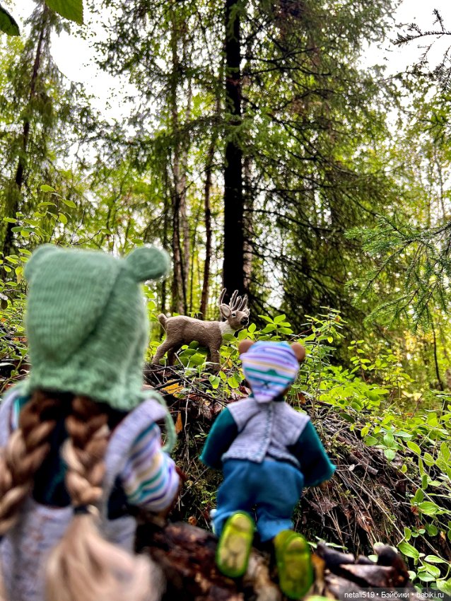 Пайпер & Понги & лес 🌳 — Одежда и обувь для кукол BJD (БЖД): 1/3 (фото 3)