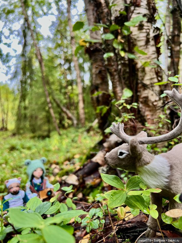 Пайпер & Понги & лес 🌳 — Одежда и обувь для кукол BJD (БЖД): 1/3 (фото 4)