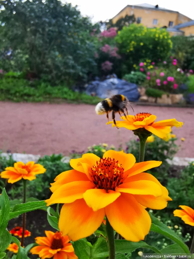 А как вы провели посление выходные этого лета и первый день осени