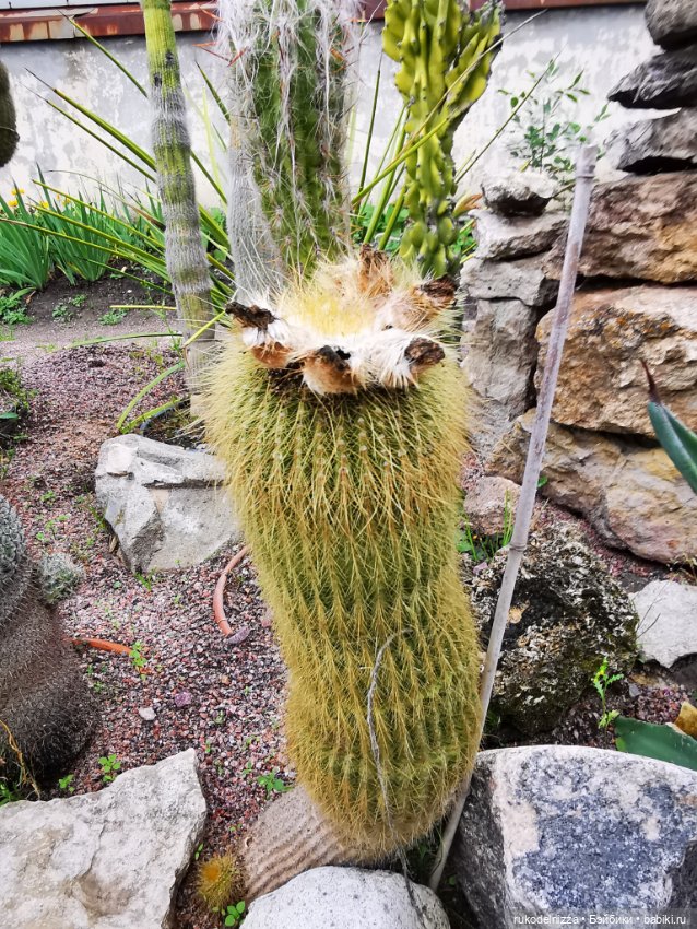 А как вы провели посление выходные этого лета и первый день осени