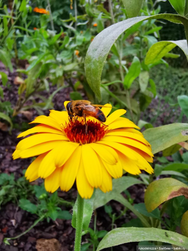 А как вы провели посление выходные этого лета и первый день осени