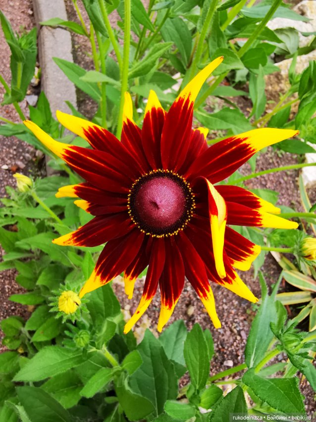 А как вы провели посление выходные этого лета и первый день осени