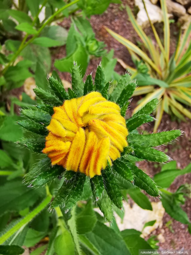 А как вы провели посление выходные этого лета и первый день осени