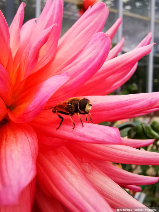 А как вы провели посление выходные этого лета и первый день осени