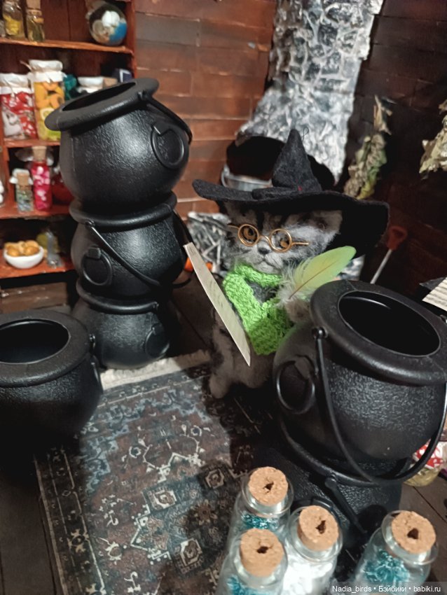 Самые чёрные из черных-ведьмокоты (фото 7)
