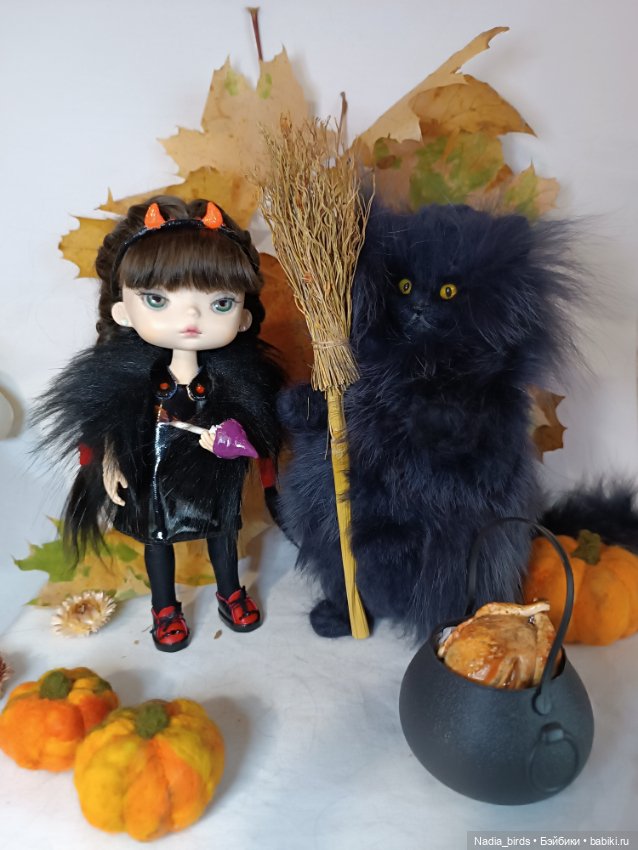 Самые чёрные из черных-ведьмокоты