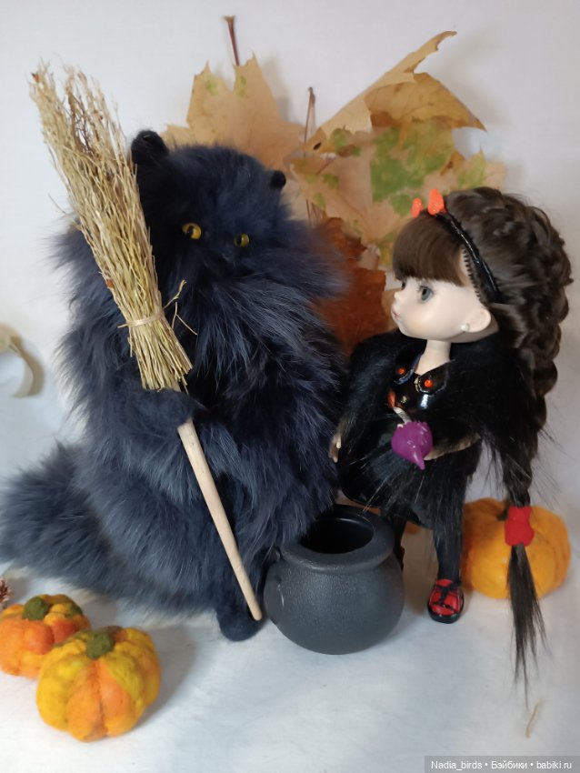 Самые чёрные из черных-ведьмокоты