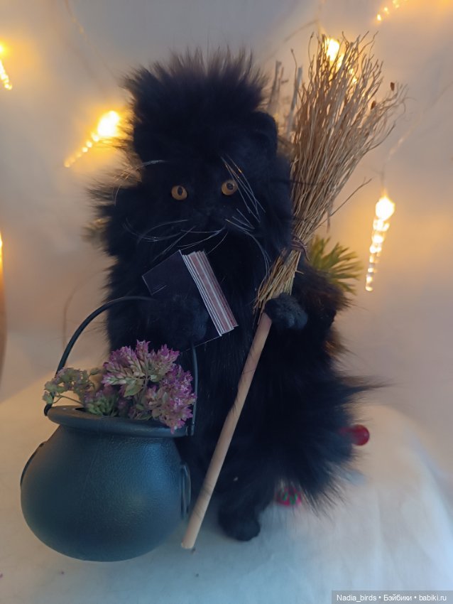 Самые чёрные из черных-ведьмокоты (фото 2)