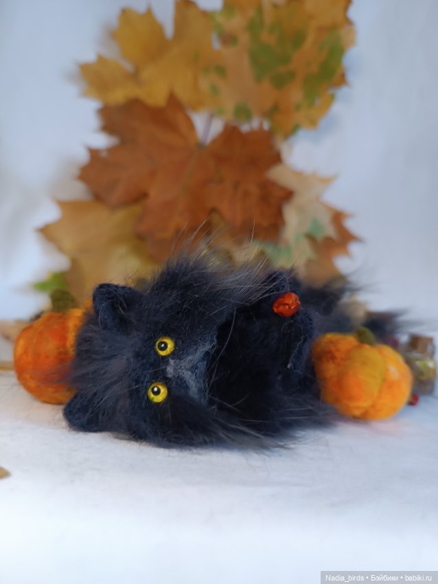 Самые чёрные из черных-ведьмокоты