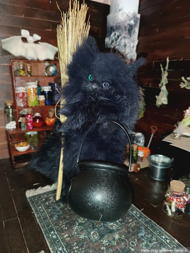 Самые чёрные из черных-ведьмокоты (фото 5)