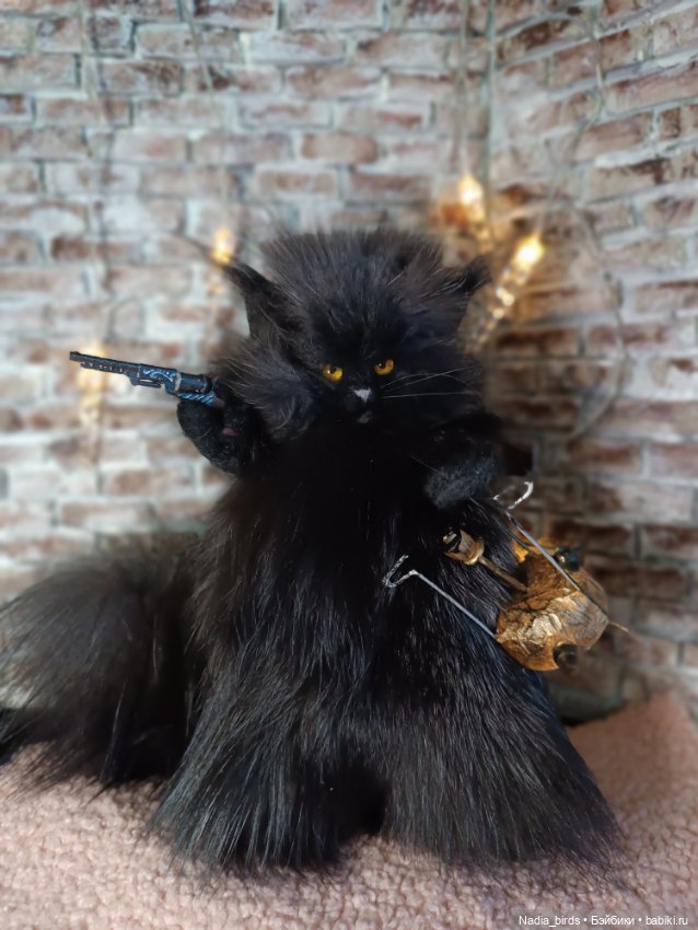 Самые чёрные из черных-ведьмокоты (фото 3)