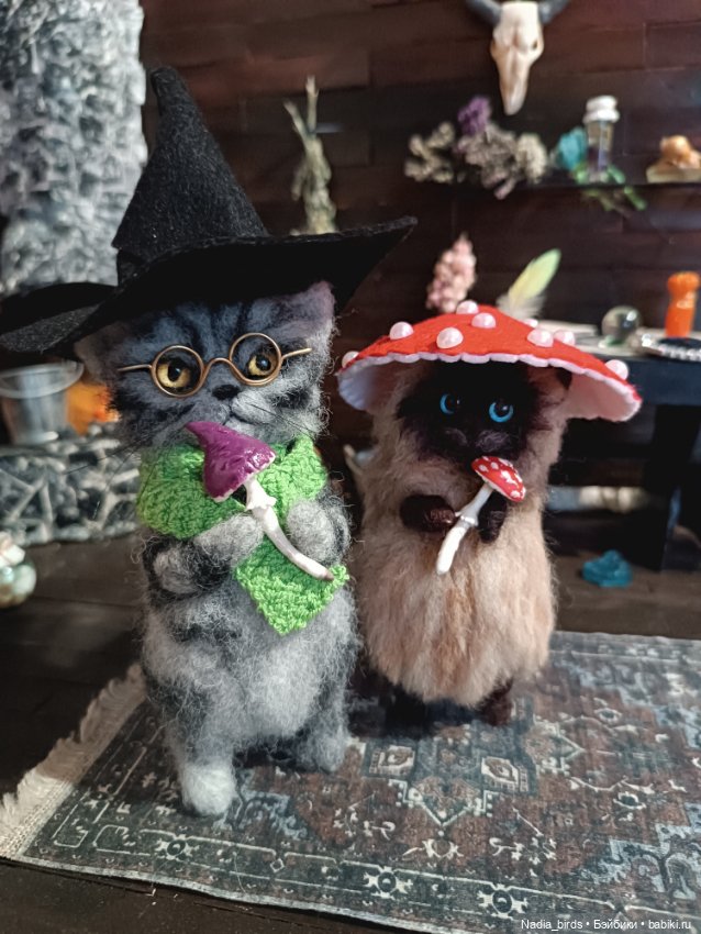 Самые чёрные из черных-ведьмокоты (фото 8)