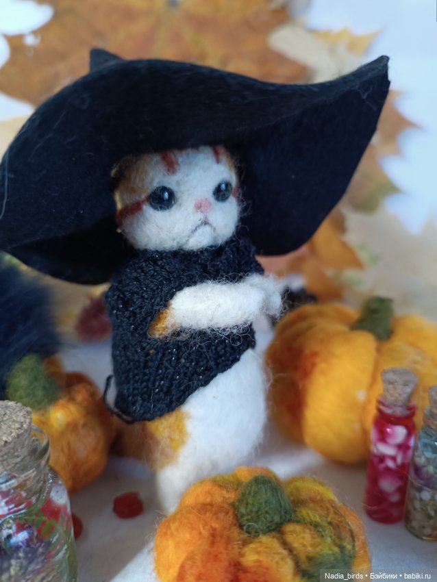 Самые чёрные из черных-ведьмокоты